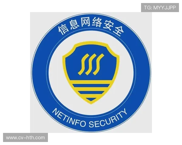 数据治理框架建立,保障隐私与安全合规